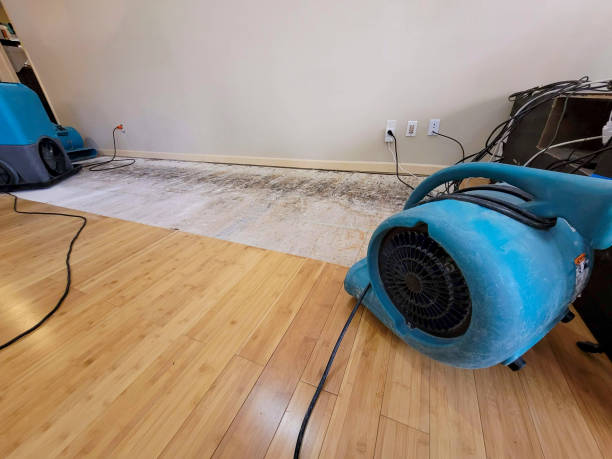 Reliable Water Damage Restoration contractor in Coulterville, IL by Hirex Water Damage
