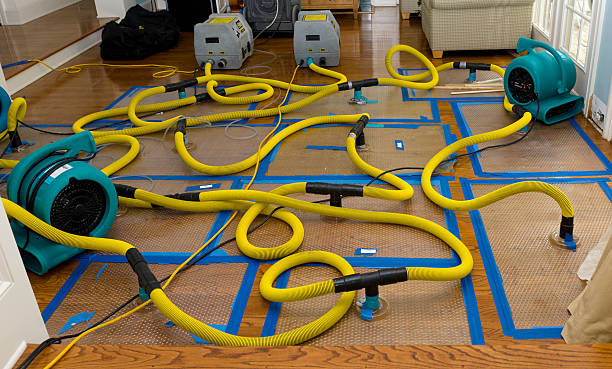 Professional Water Damage Restoration technician working in Coulterville, IL
